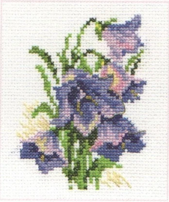 Beldizart Bluebells S0-79