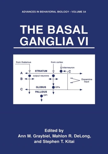 Basal Ganglia VI