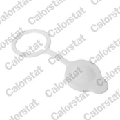 Dangtelis, radiatorius CALORSTAT by Vernet RC0206 kaina