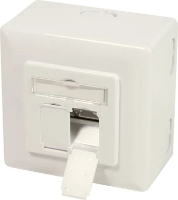 Jungtis Logilink RJ-45 CAT 6, balta