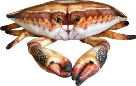 Dubi Krabas 31 cm