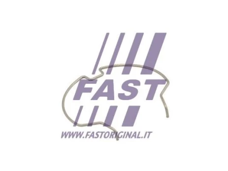 Spaustukas, kompresoriaus oro žarna FAST FT96401