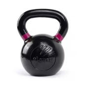 Svarstis Tiguar RAW 24kg V2 kaina