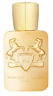 Parfums De Marly Godolphin - EDP 125ml Vyrams kaina