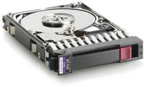 Hewlett Packard (HP) 300GB 10K SAS 2.5in DP **Refurbished** (Atnaujinta)