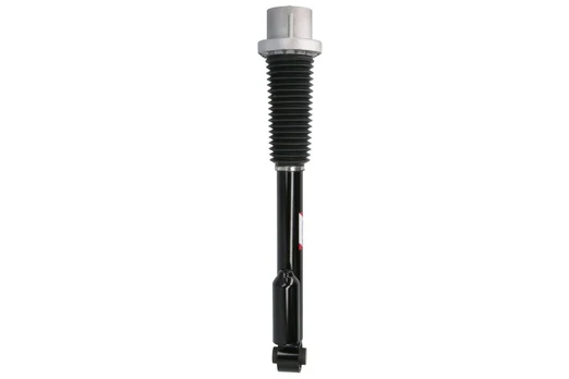 Amortizatorius MAGNUM TECHNOLOGY APL025MT