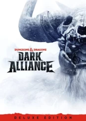 Dungeons & Dragons: Dark Alliance PC kaina