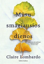 Mūsų smagiausios dienos kaina