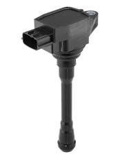Ritė, uždegimas BorgWarner (BERU) ZS612