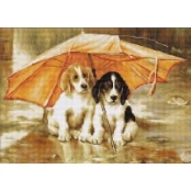 Couple under an Umbrella SB550 kaina