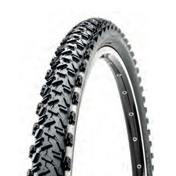 Padanga CST 26x1.95 (53-559) C1435