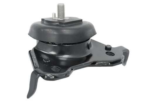 Variklio montavimas TEDGUM TED80672