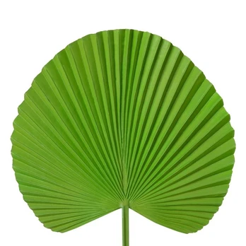 Dirbtinis augalas Eurofirany, žalia, 55 cm