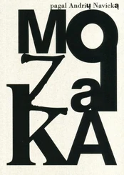 Mozaika pagal Andrių Navicką