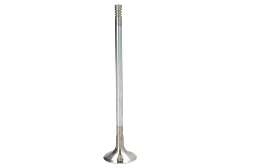 TRW 331130 Exhaust valve