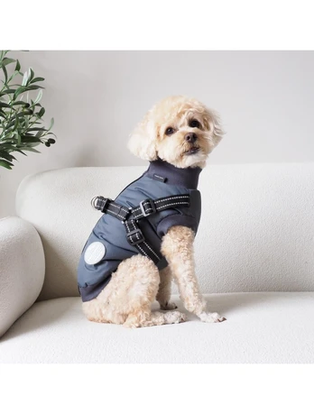 Nordic paws - Dogcoat Thor with harness 35cm - Anthracite - S