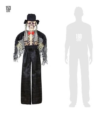 GROOM SKELETON 153 cm