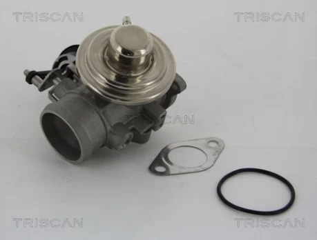 ERG vožtuvas TRISCAN 8813 29001
