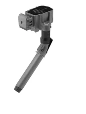 Ritė, uždegimas BorgWarner (BERU) ZSE263