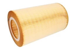 Oro filtras FILTRON AR 366/4 kaina