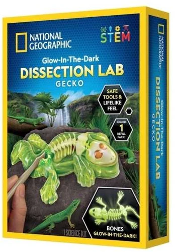 National Geographic Gecko Dissection Lab