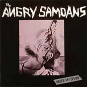 CD The Angry Samoans* - Inside My Brain
