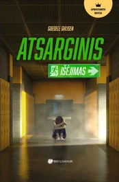 Atsarginis išėjimas kaina