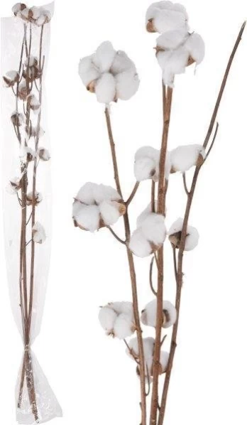 Dekoratyvinė šakelė COTTON, 97 cm