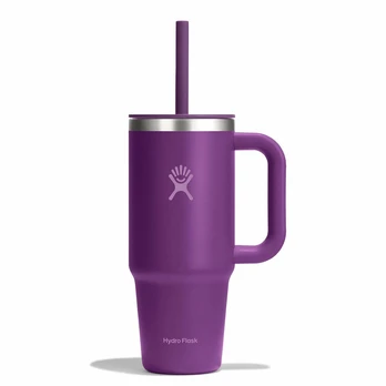 Hydro Flask kelioninė termo gertuvė (710 ml), Beachplum Purple (TT24PSC526)