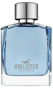 Tualetinis vanduo Hollister Wave For Him, 100 ml kaina