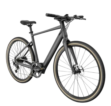 FIIDO C21 E-GRAVEL elektrinis dviratis (28")