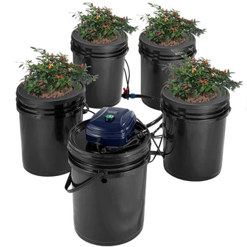 Hydroponinis RDWC sistema su 4 kibirais