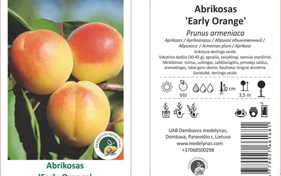 Vaismedis, abrikosas "Early Orange"