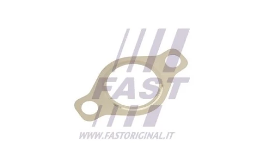 Tarpiklis, EGR vožtuvas FAST FT50618
