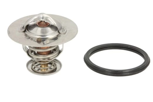 termostatas, aušinimo skystis THERMOTEC D22002TT