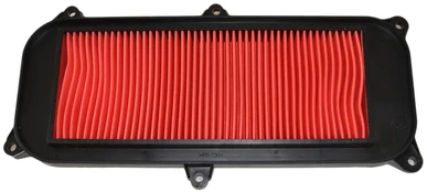 Oro filtras CHAMPION CAF4003