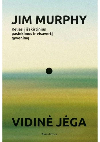 Vidinė jėga