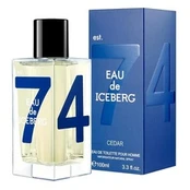 Iceberg Eau de Iceberg Cedar pour Homme 100ml Vyrams EDT