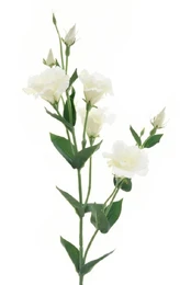 Dirbtinė gėlė, eustoma, balta, 85 cm kaina