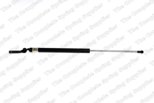 LESJOFORS LS8188302 Boot strut