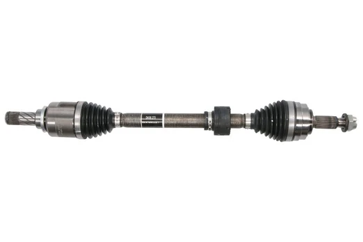 pusašis SNR DK55.273