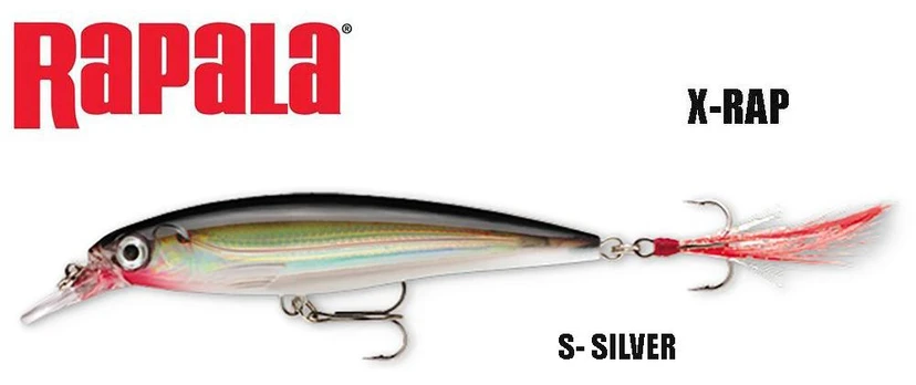 Rapala vobleris X-Rap Silver 6 cm