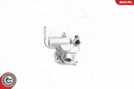 Termostatas, aušinimo skystis ESEN SKV 20SKV024 kaina