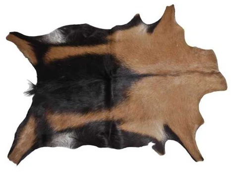 Kailis Esbeco, 700 mm x 550 mm