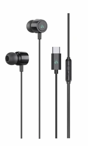 Ausinės iPeax USB-C kaina