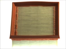 Oro filtras FILTRON AP190/7 kaina