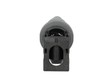 Ritė, uždegimas NGK 48216