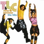 CD TLC - Now & Forever (The Hits)