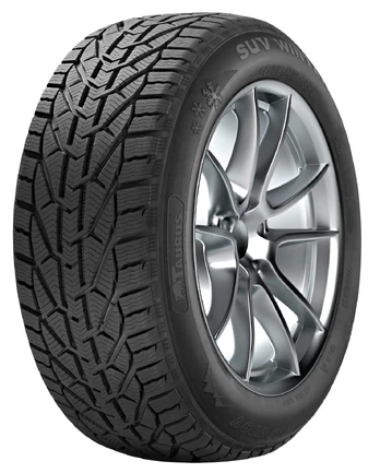 Taurus/Kormoran Winter 235/40 R18 95 V