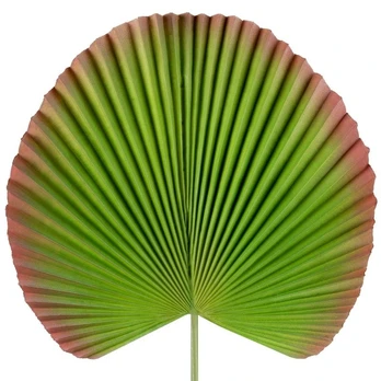Dirbtinis augalas Eurofirany, žalia, 83 cm
